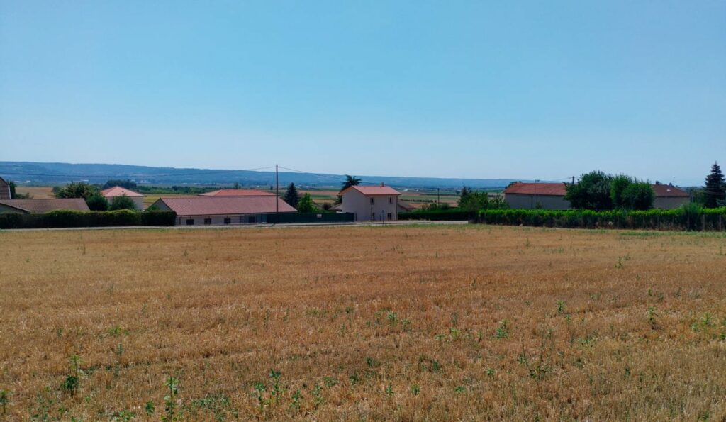 terrain en vente gillonnay